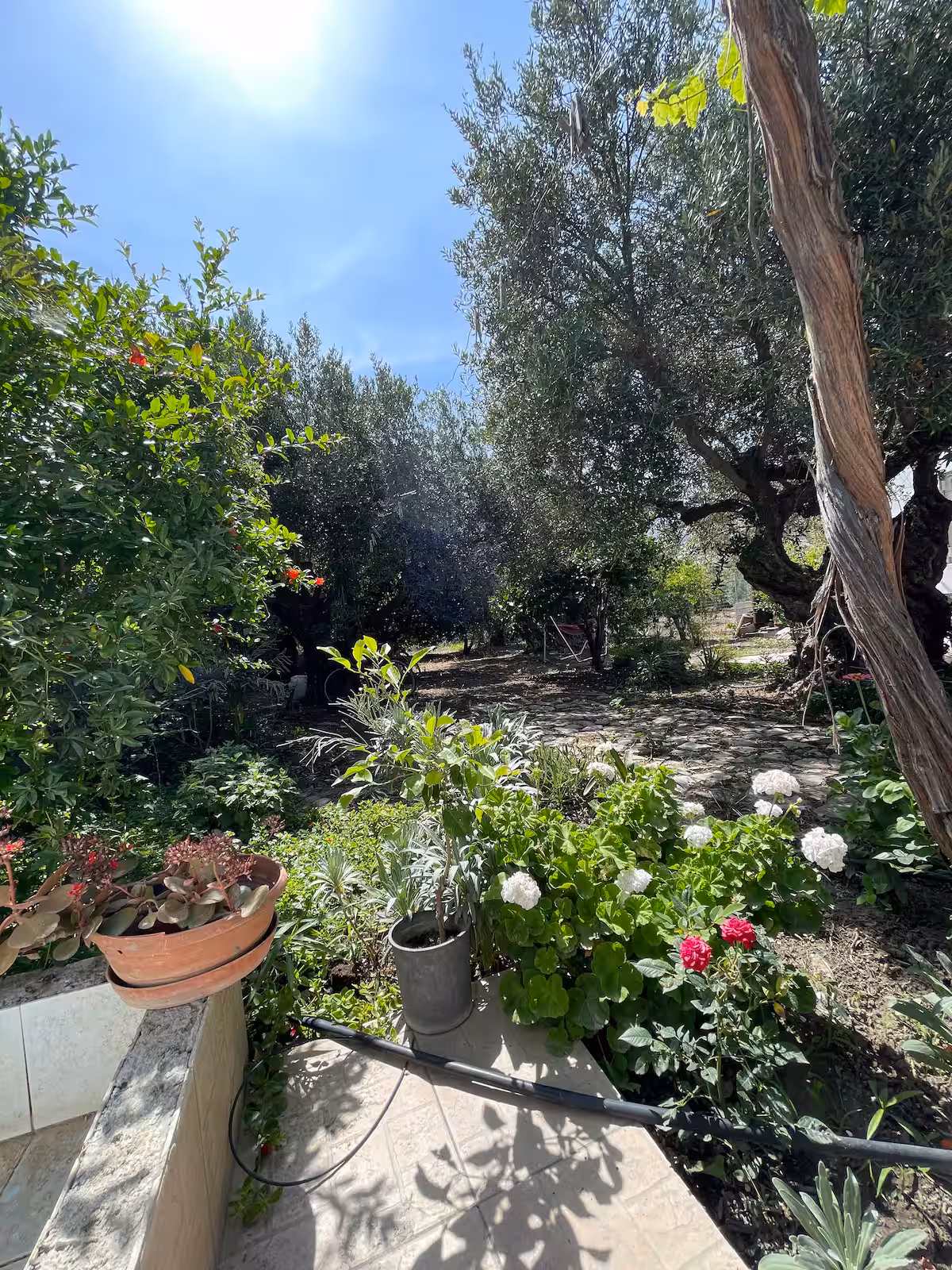 The Yard: Keratokampos'ta geleneksel ev