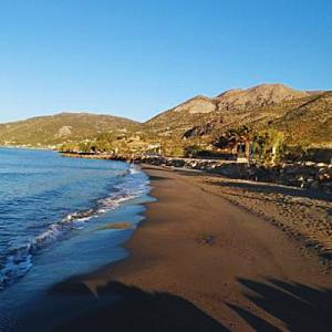 Untitled-design-27-1024x1024