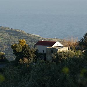 Untitled-design-44-1024x1024