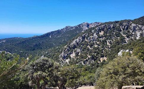 πευκοδασος-1024x632