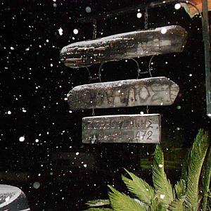 308627203_602755228215964_6238443085636014663_n