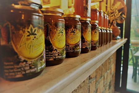 459727723_2186011535111879_9139918348214547358_n-1024x683