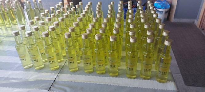 454492526_923373653157869_6644525292024421234_n-1024x461