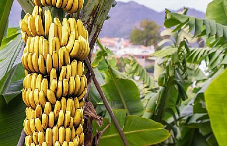 7BDB15EC-1EC8-4D2E-80A6-E08802663F4C