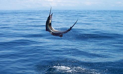 agiosnikolaos-fishing-trip-crete-01