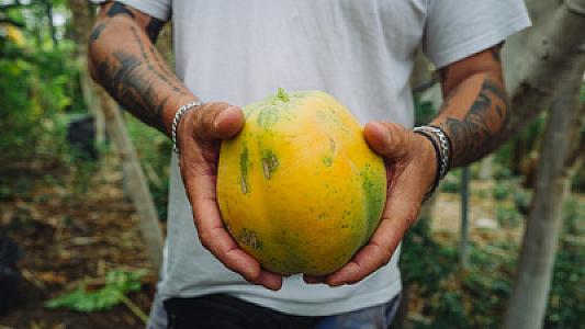 Viokalliergitis-Giorgos-Dimitriou5-Gastronomos-1024x576