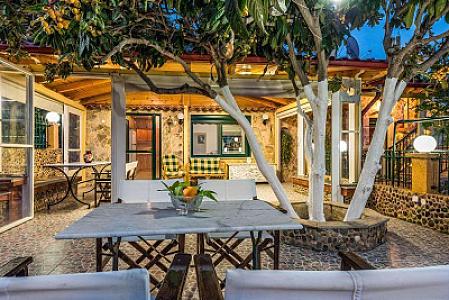 Katerina’s garden Apartment 1 – Tertsa